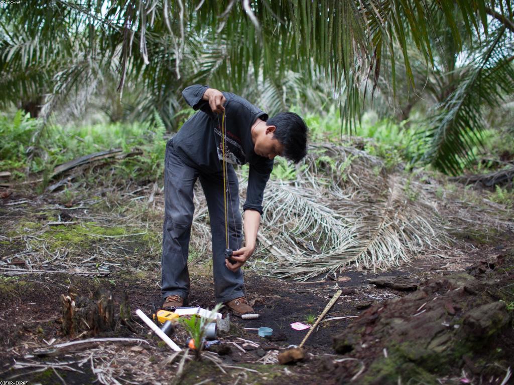 យុទ្ធសាស្ត្រសម្រាប់ការលូតលាស់ផ្ទាល់ខ្លួន