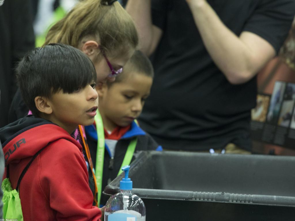 ការព្យាករ និងន័យសំខាន់របស់វា